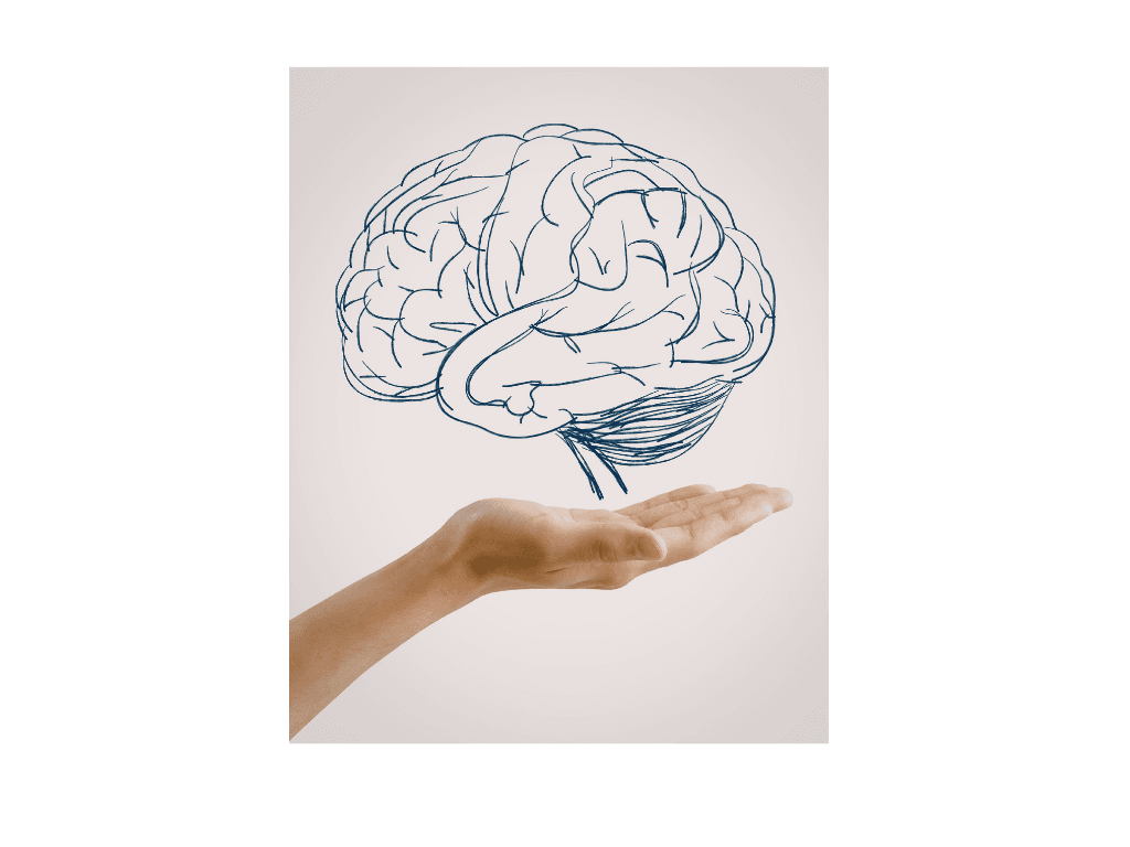 Image: NeuroNook brain mapping session in progress